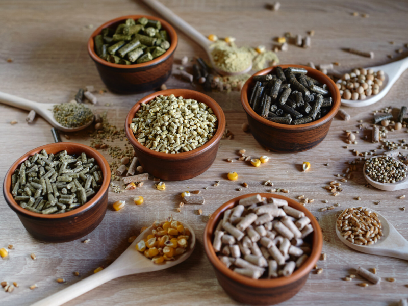 feed additives feed additives